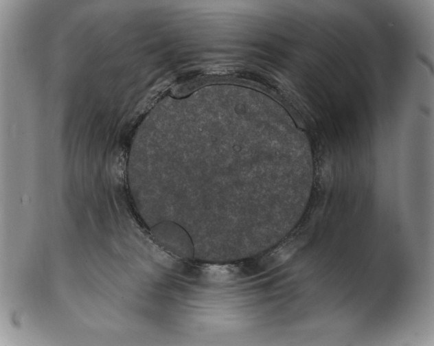 X0000102360277200808221723