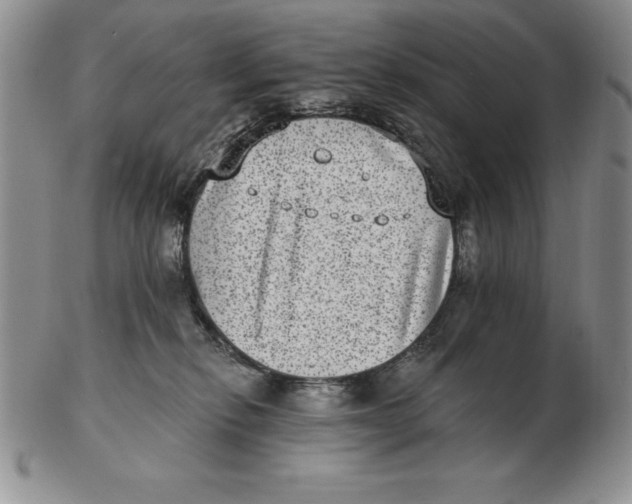 X0000102360278200808221723