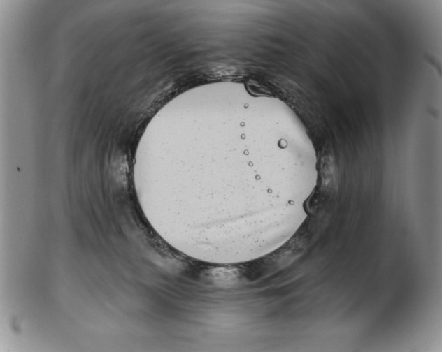 X0000102360279200808221723