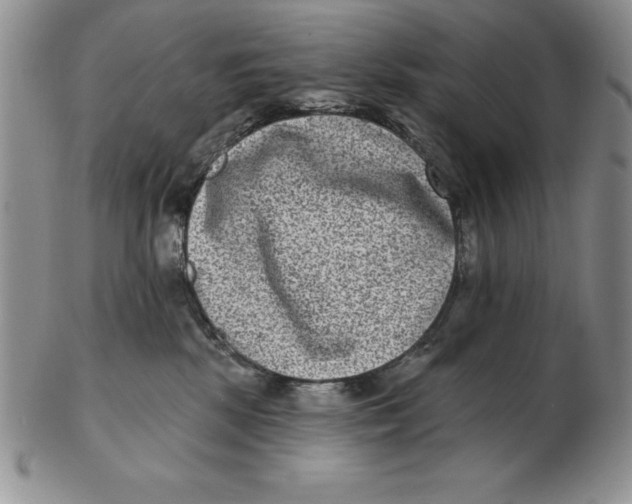 X0000102360281200808221723