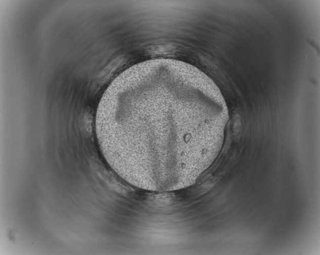 X0000102360282200808221723