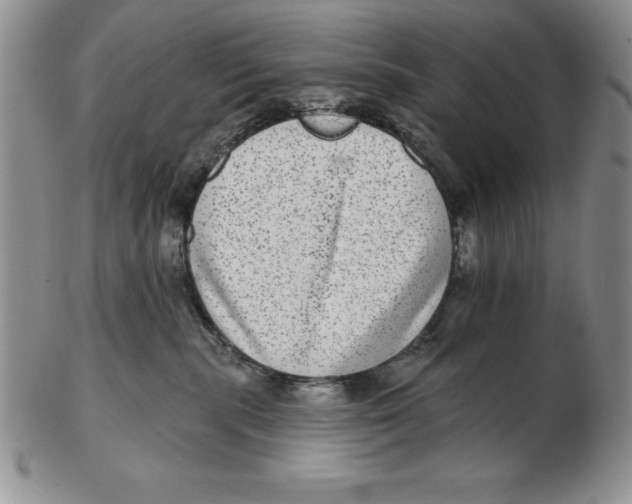 X0000102360283200808221723