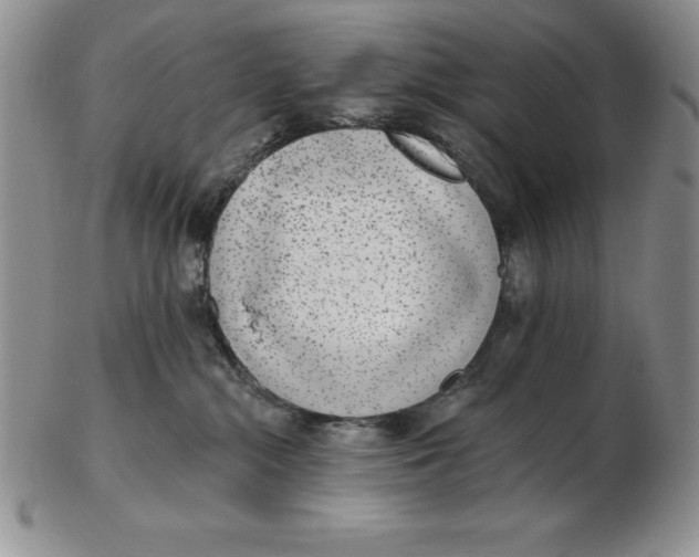 X0000102360284200808221723