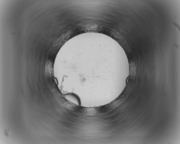 X0000102360287200808221723