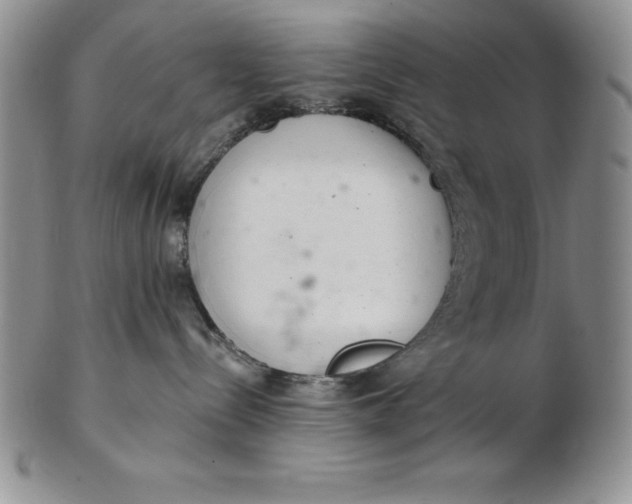 X0000102360288200808221723