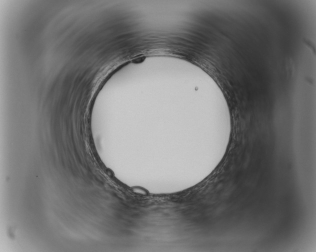 X0000102360289200808221722