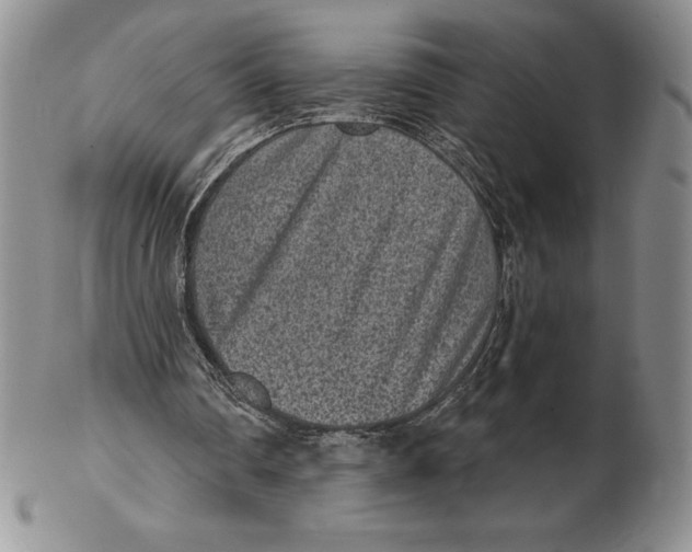 X0000102360290200808221722