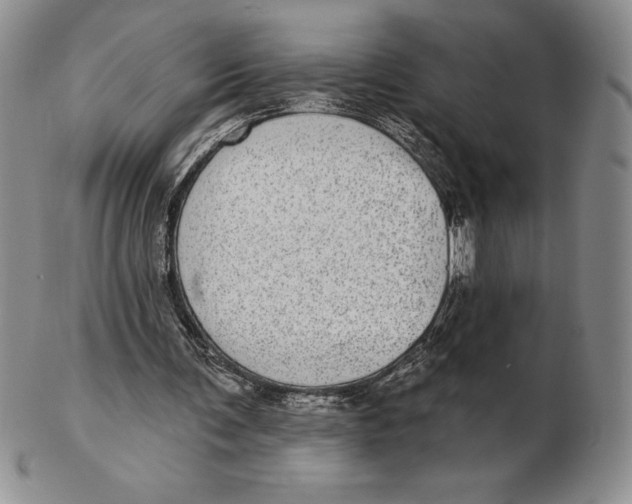 X0000102360291200808221722