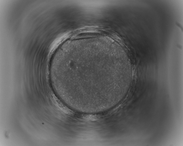 X0000102360293200808221722