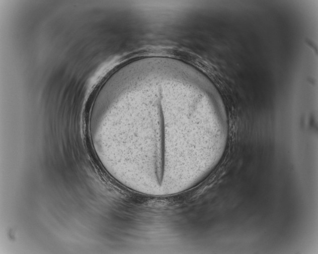 X0000102360294200808221722