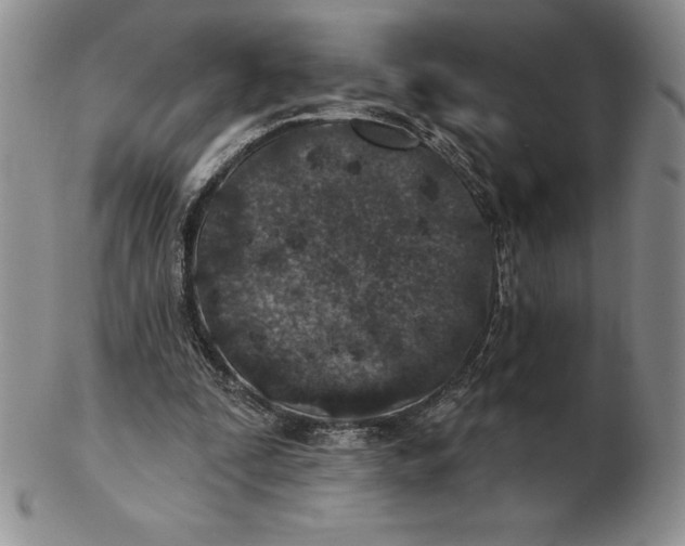 X0000102360295200808221722