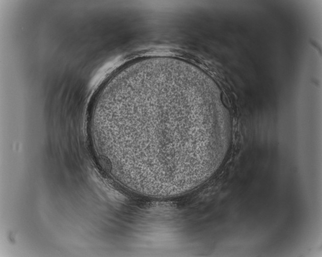 X0000102360296200808221722