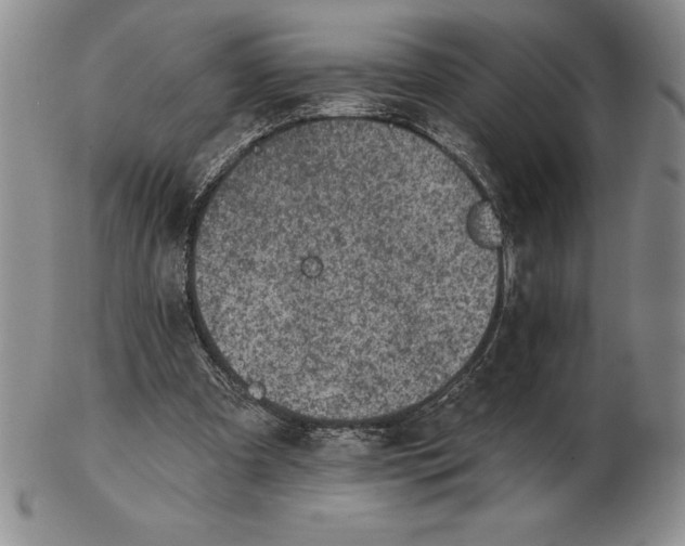 X0000102360297200808221722