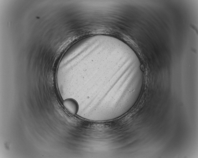 X0000102360298200808221722