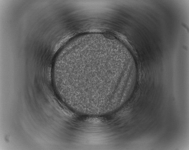 X0000102360299200808221722