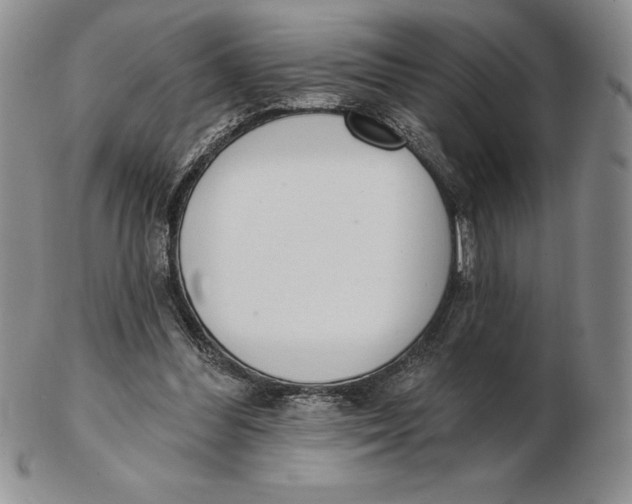 X0000102360300200808221722