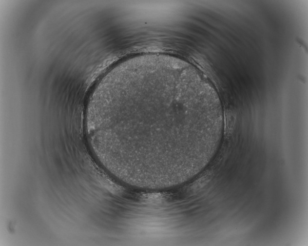 X0000102360301200808221722