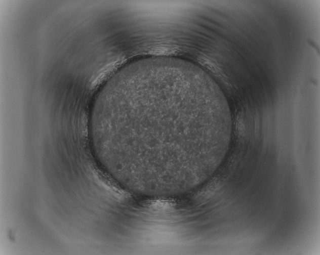 X0000102360303200808221722