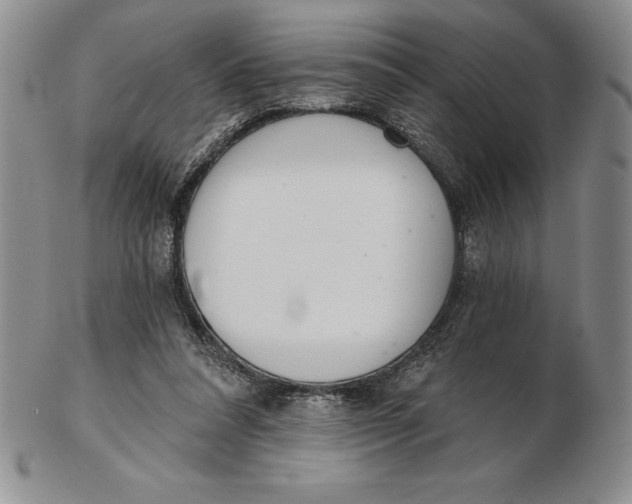 X0000102360304200808221722