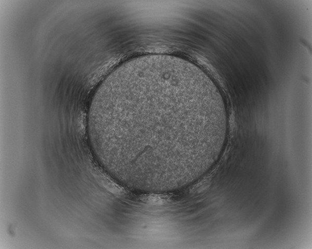 X0000102360305200808221722