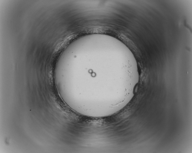 X0000102360306200808221722