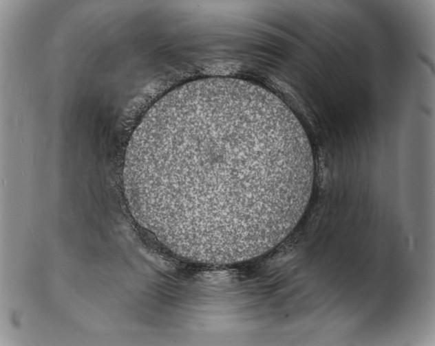 X0000102360307200808221722