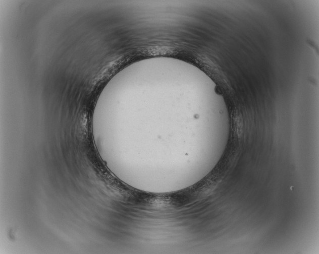 X0000102360308200808221722