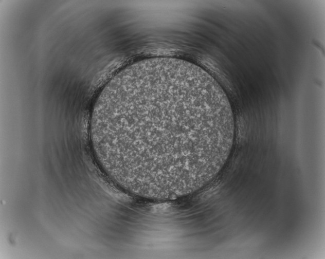 X0000102360309200808221722