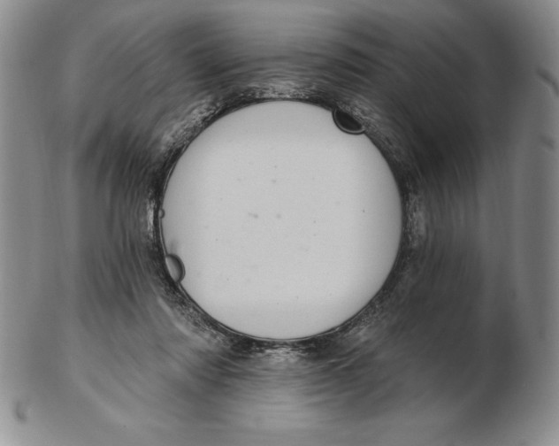 X0000102360310200808221722