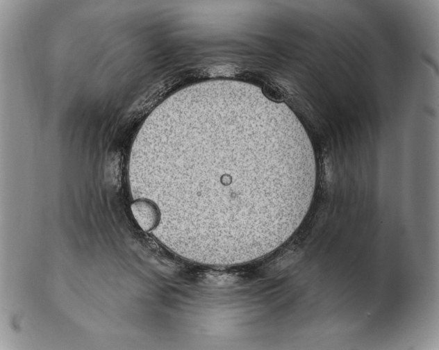 X0000102360311200808221722