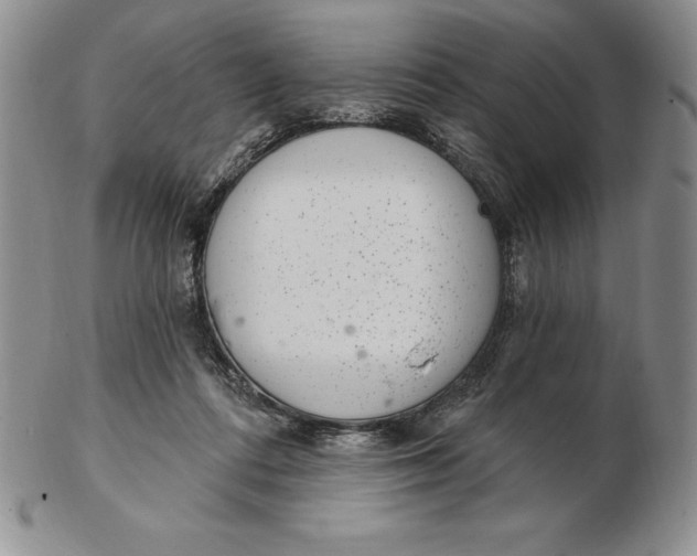 X0000102360312200808221722