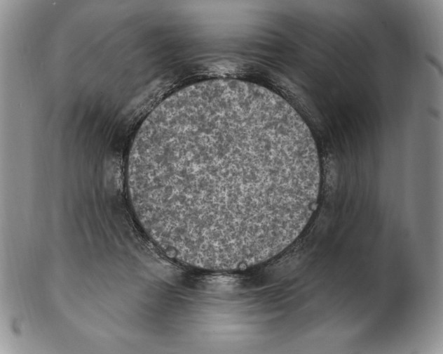 X0000102360313200808221722