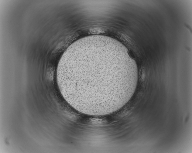 X0000102360315200808221722