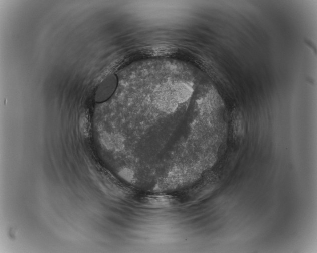 X0000102360316200808221722