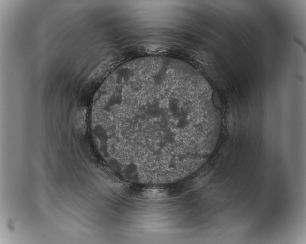 X0000102360319200808221722