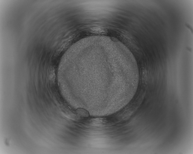 X0000102360320200808221722