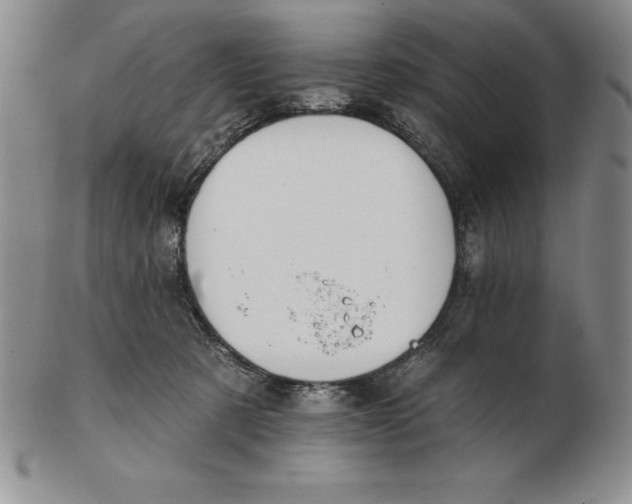 X0000102360321200808221722