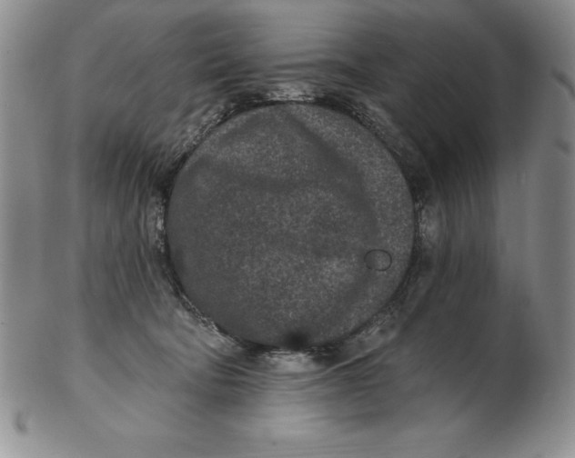 X0000102360322200808221722