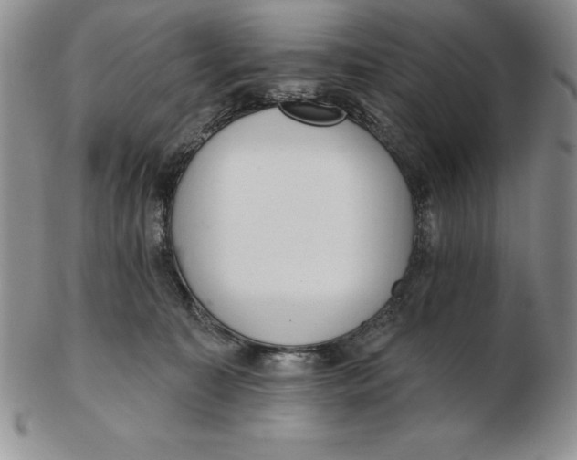 X0000102360323200808221722