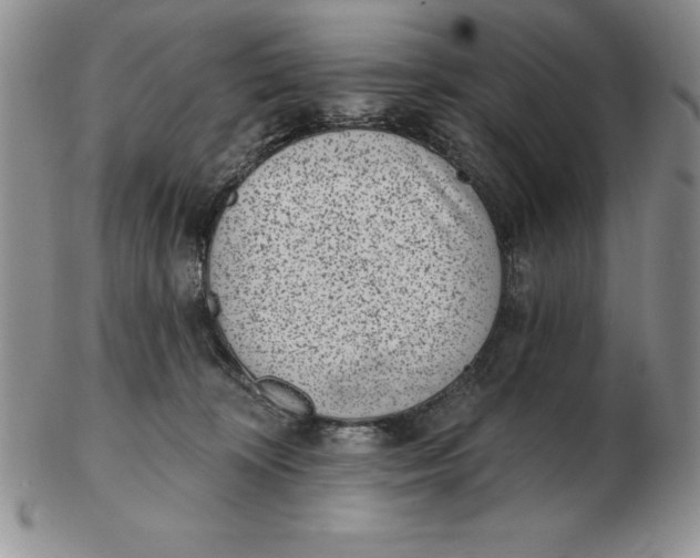 X0000102360324200808221722