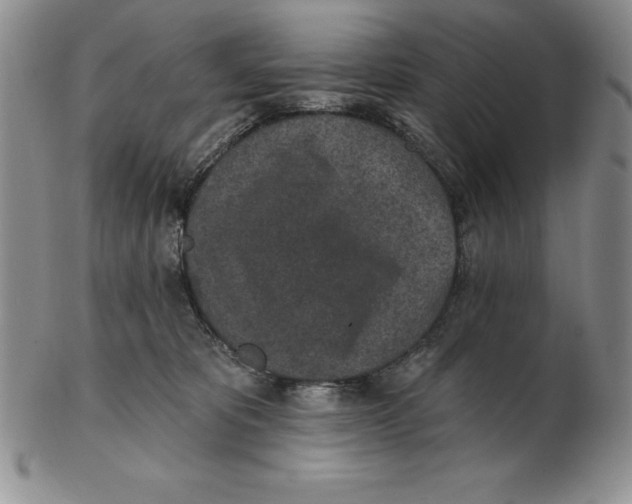 X0000102360325200808221722