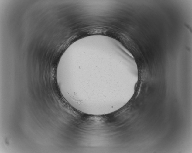 X0000102360326200808221722