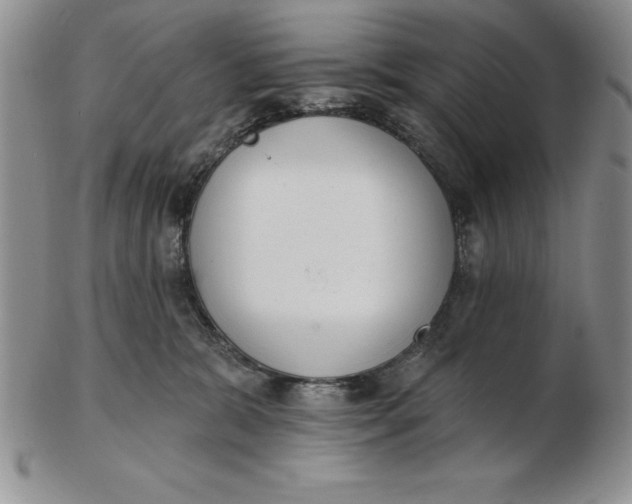 X0000102360327200808221722