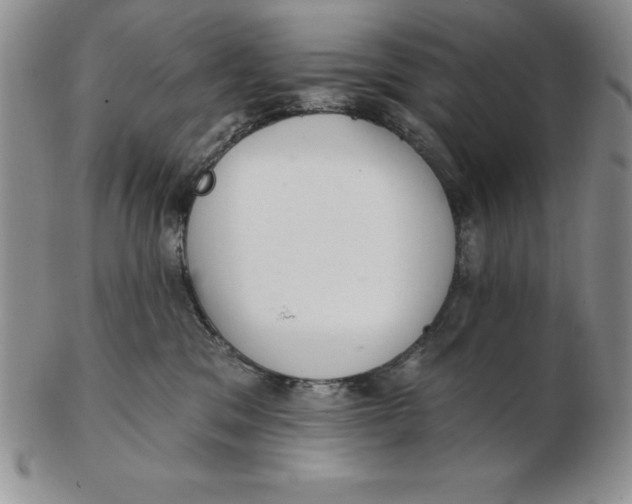 X0000102360329200808221722