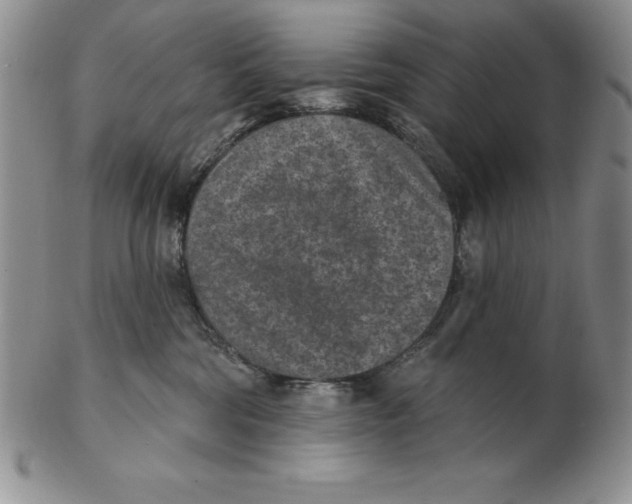 X0000102360330200808221722