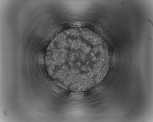 X0000102360331200808221722