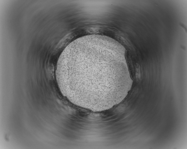 X0000102360332200808221722