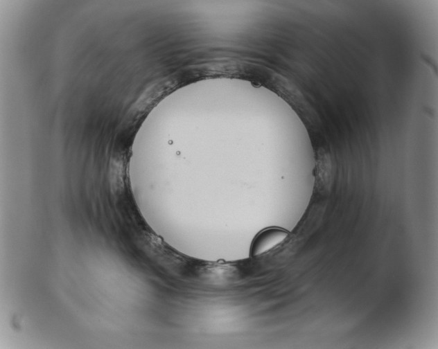 X0000102360333200808221722