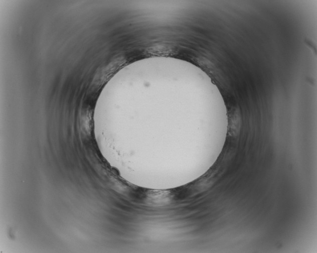 X0000102360334200808221722