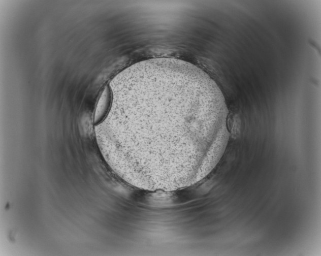 X0000102360335200808221722